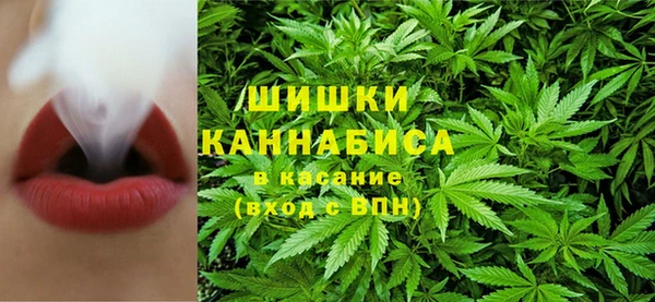 spice Арсеньев