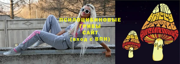 крисы Ростов