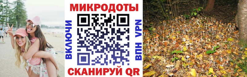 Псилоцибиновые грибы мицелий  Заозёрск 