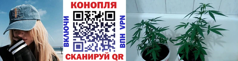 Бошки Шишки Ganja  Заозёрск 